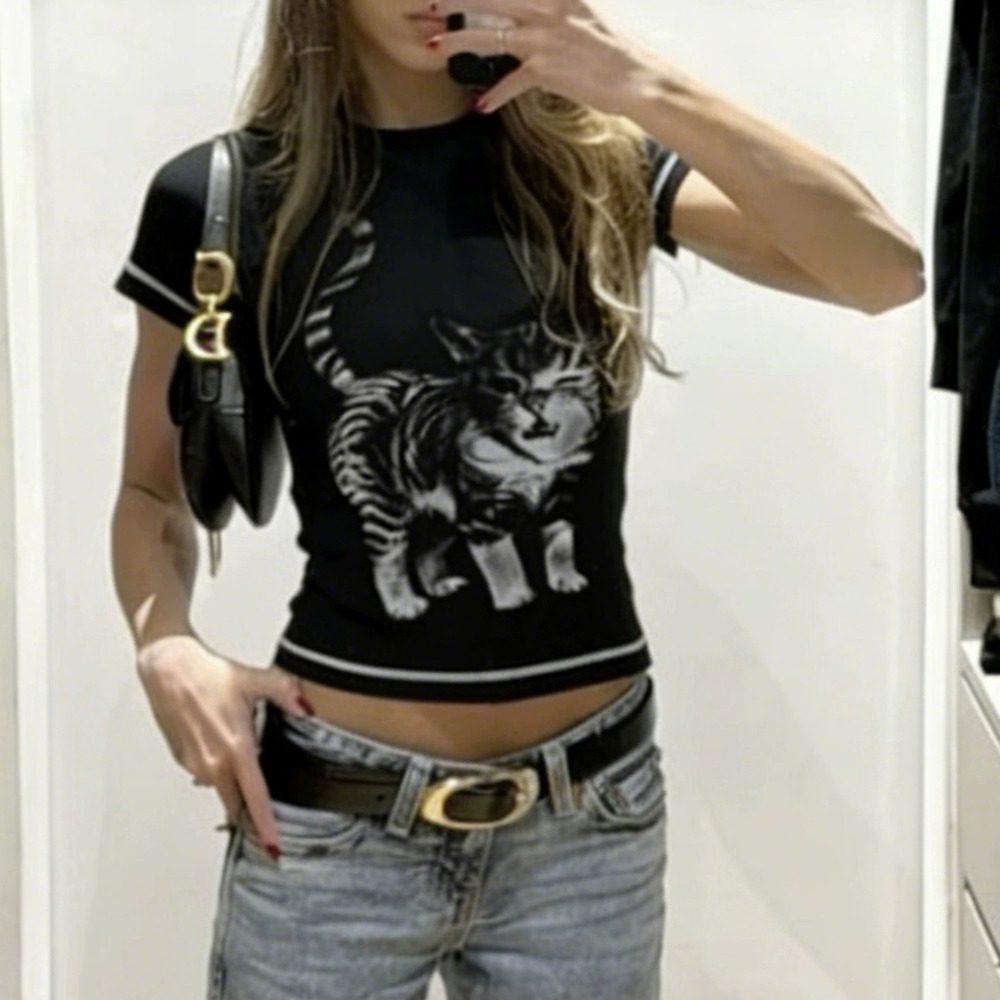 Zara Retro Streetwear Regular Shoulder Cat Print Color Block Tee